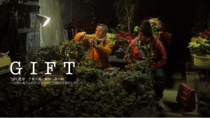 パッケージ・写真・表①