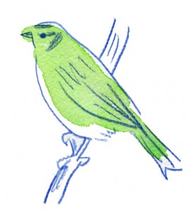 ワンゲル011 のコピー